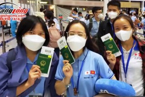 Nhật Bản tiếp nhận thực tập sinh Việt Nam từ ngày 8/11